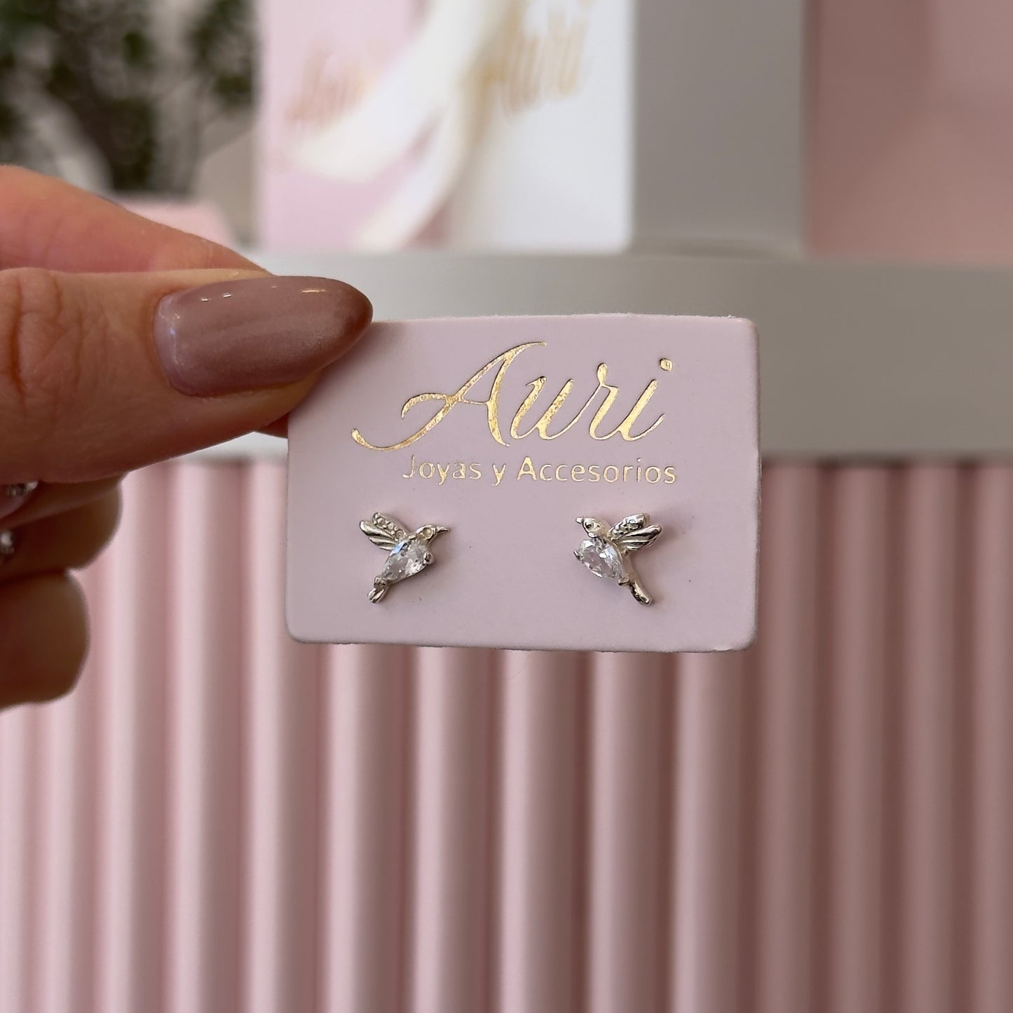 CARAVANAS COLIBRÍ PLATA