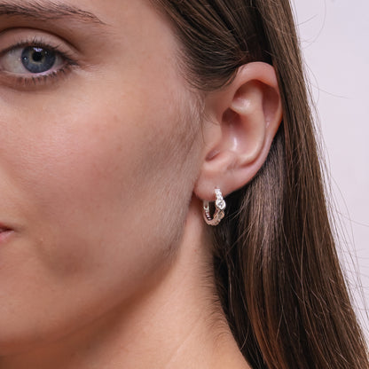 AROS ISJA PLATA