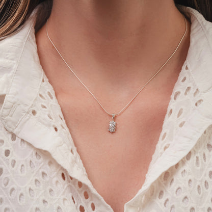 CONJUNTO DETHA