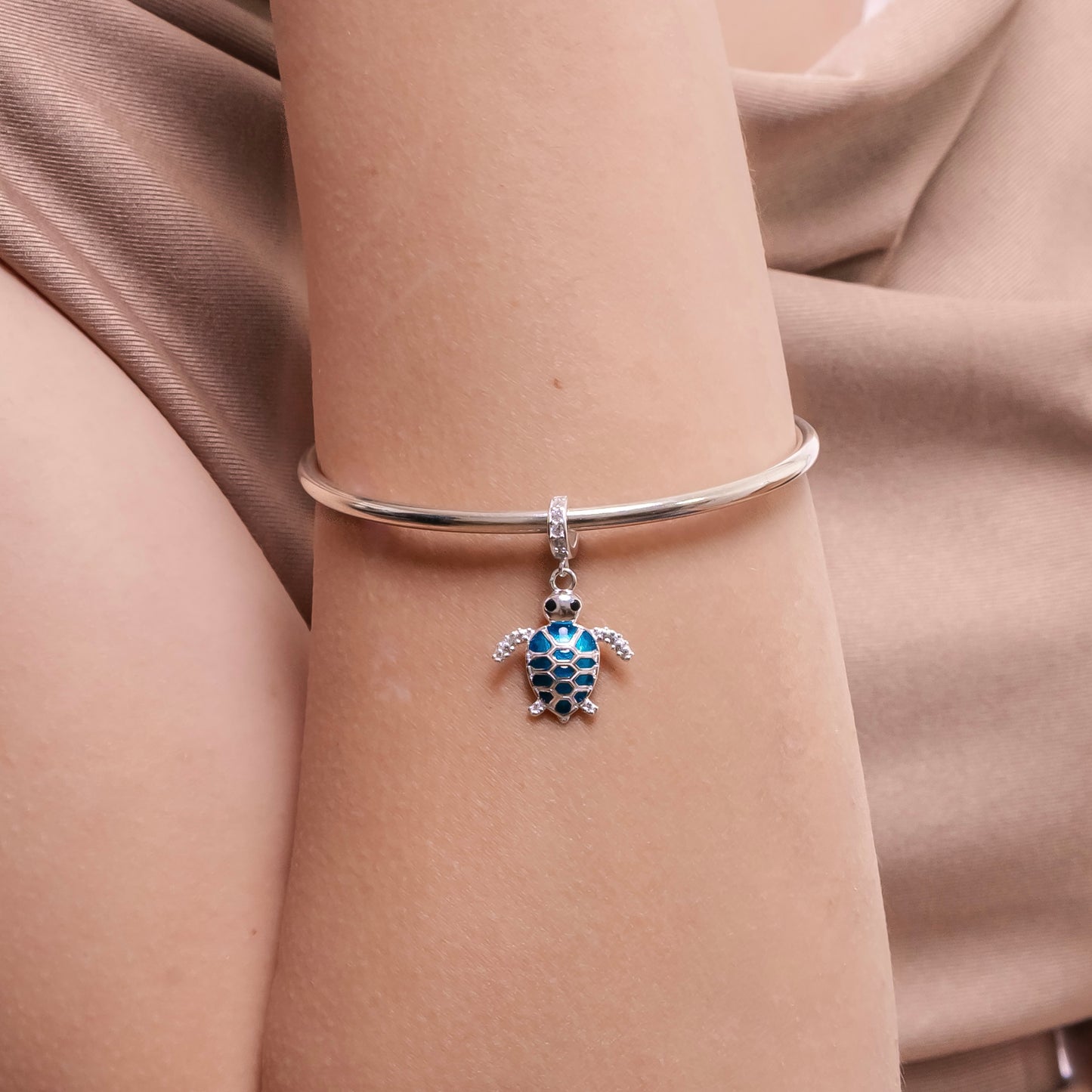 DIJE PARA PANDORA PLATA
