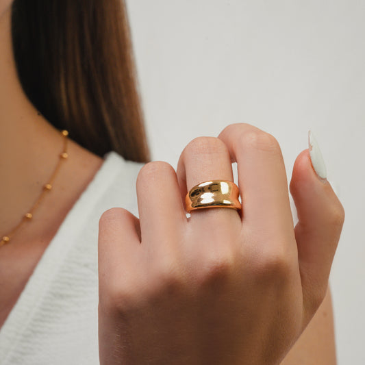 ANILLO NETTO