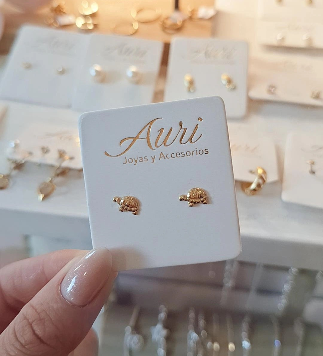MINI TORTUGAS